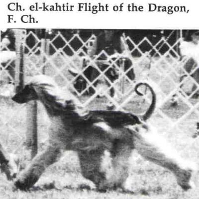 Image of El Kahtir Flight of The Dragon