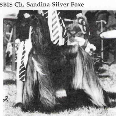 Image of Sandina Silver Foxe