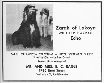 Image of Zorah Of Lakoya