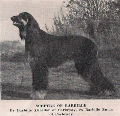 Image of Sceptre Of Barbille