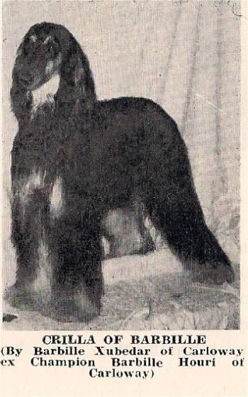 Image of Crilla Of Barbille