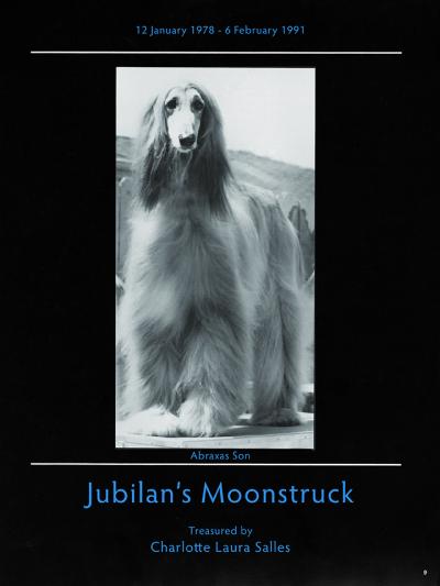 Image of Jubilans Moonstruck