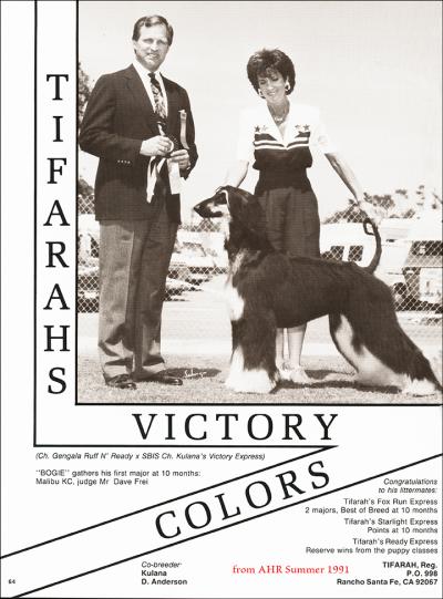 Image of Tifarah's Victory Colors