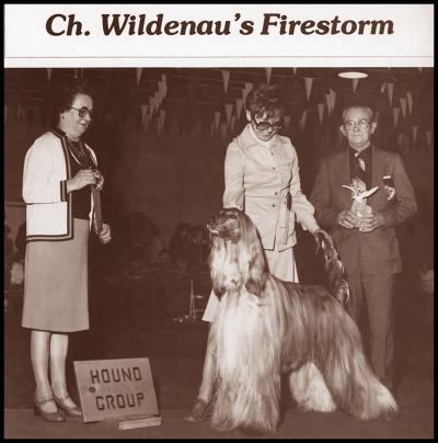 Image of Wildenau's Firestorm
