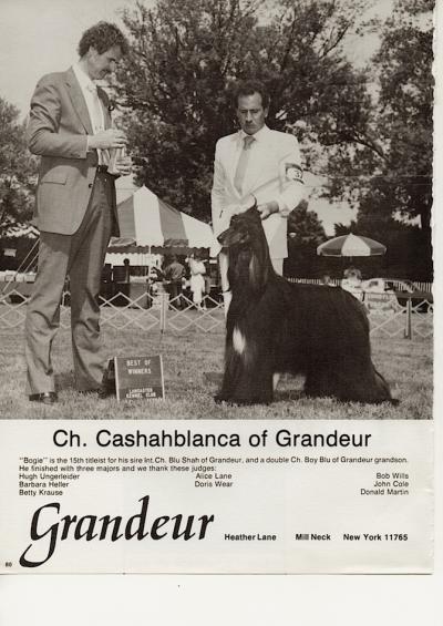 Image of Cashahblanca of Grandeur