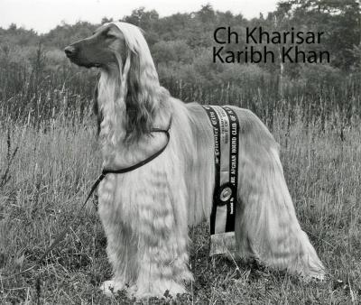 Image of Kharisar Karibh Khan