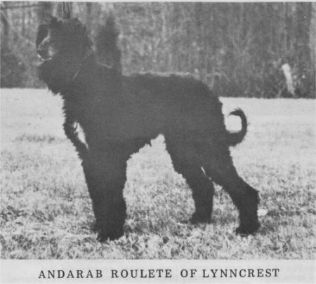 Image of Andarab Roulete Of Lynncrest