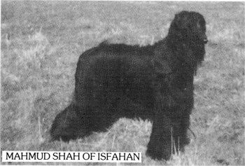 Image of Isfahan Mahmud Shah (UK) (Mahmud Shah of Isfahan)