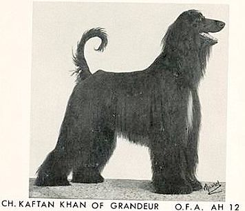 Image of Kaftan Khan Of Grandeur