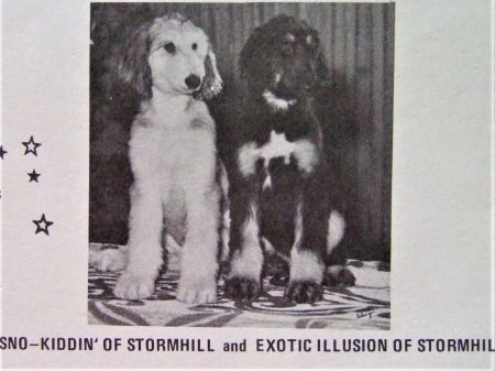 Image of Sno-Kiddin' Of Stormhill