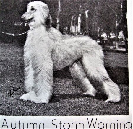Image of Autumn Storm Warning