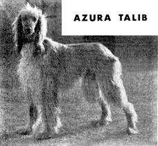 Image of Azura Talib