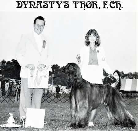 Image of Dynasty's Thor