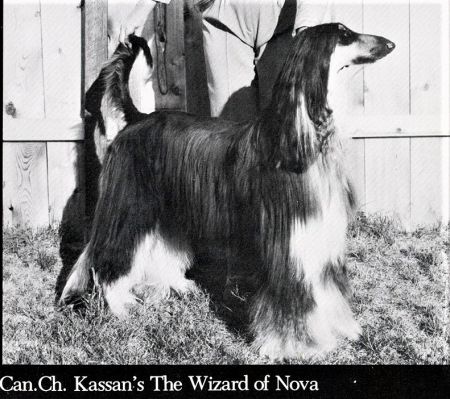 Image of Kassans The Wizard of Nova