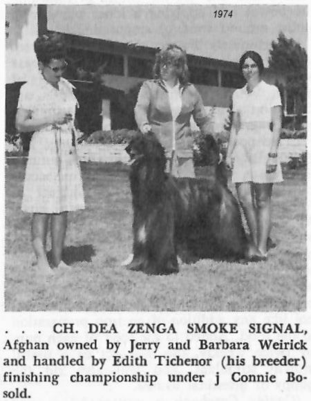 Image of Dea Zenga Smoke Signal
