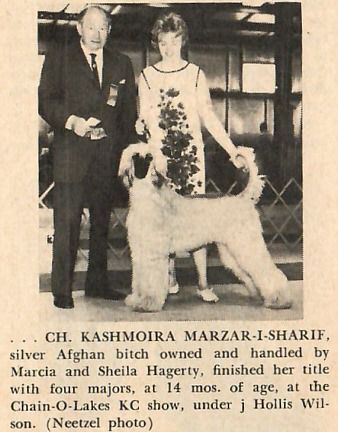 Image of Kashmoira Marzar-I-Sharif