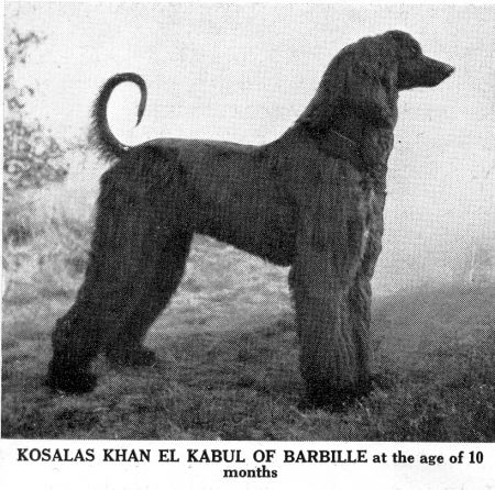 Image of Kosalas Khan El Kabul Of Barbille (UK)