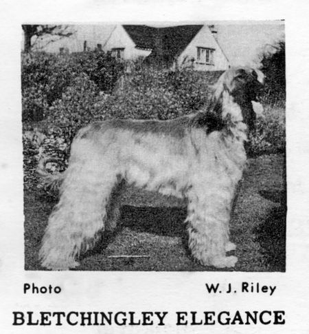 Image of Bletchingley Elegance