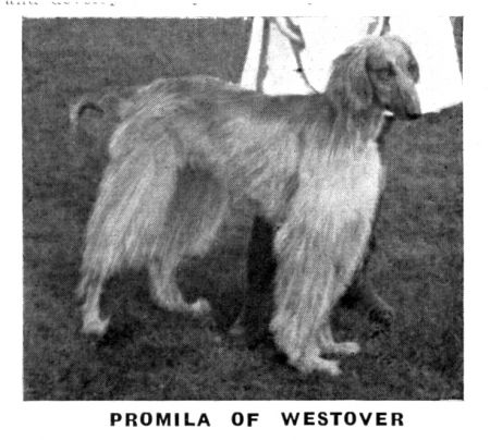 Image of Promila Of Westover