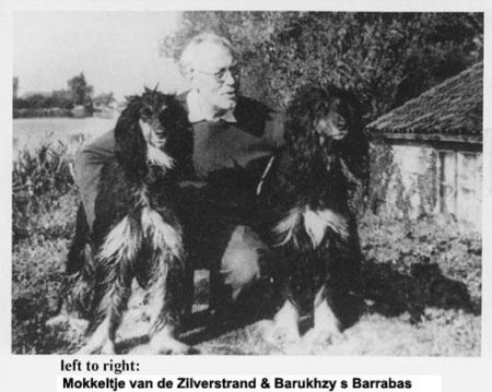 Image of Barukhzy's Barrabas