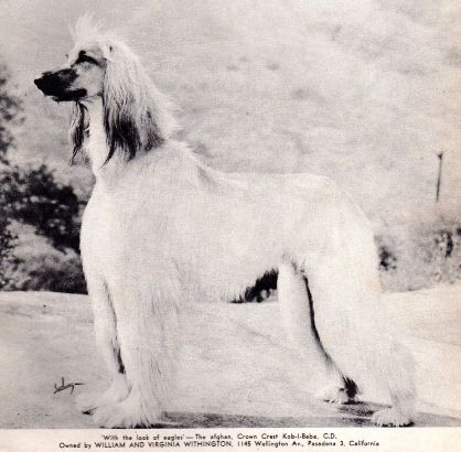 Image of Koh-I-Baba (1949)