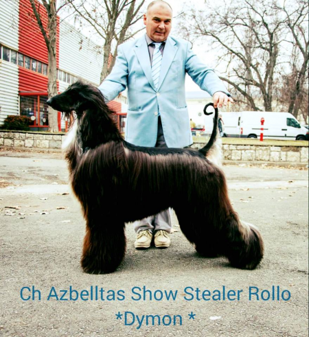 Image of Azbelltas Show Stealer Rollo