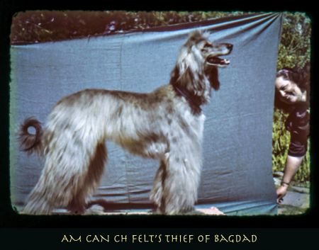 Image of Felt's Thief Of Bagdad