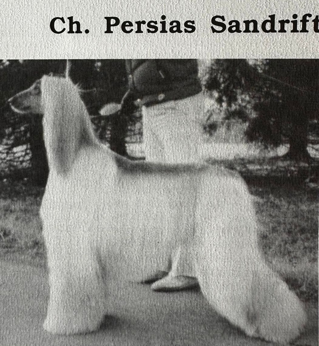 Image of Persia's Sandrift