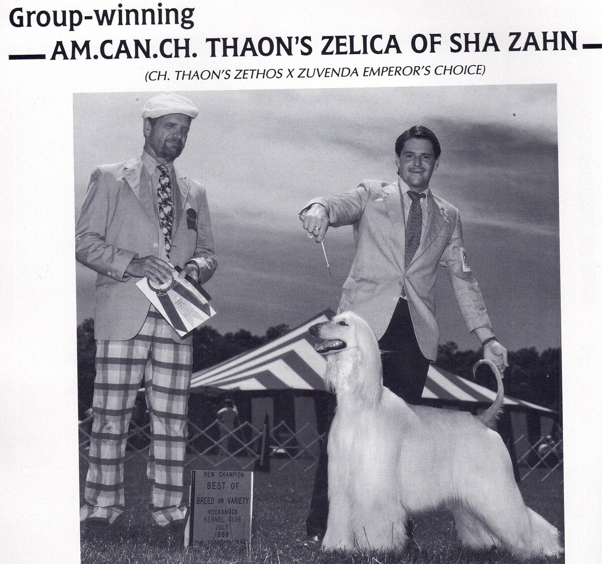 Image of Thaon's Zelica Of Sha Zahn
