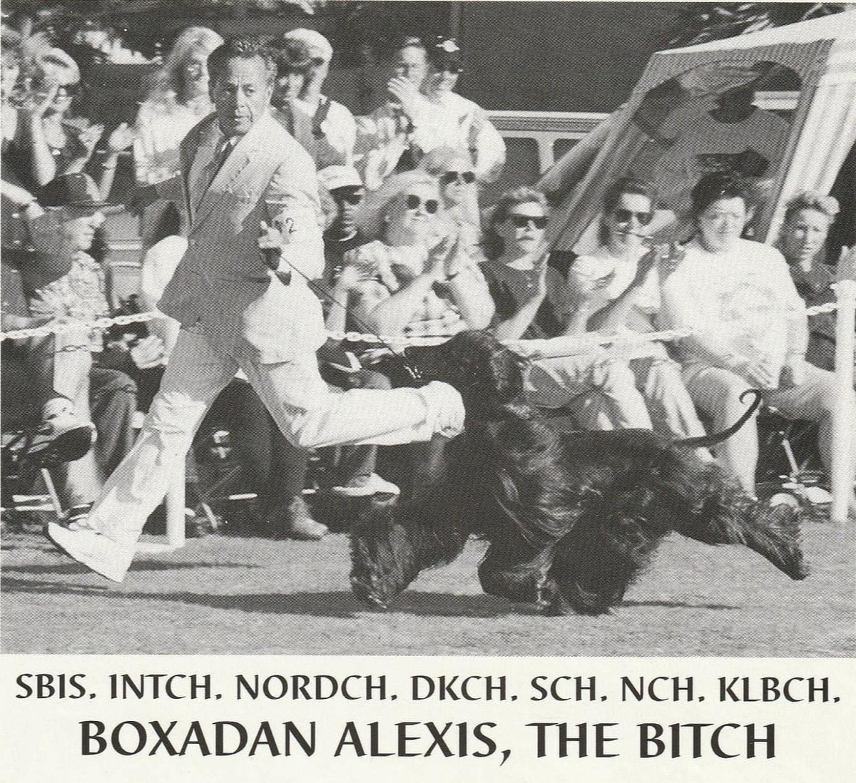 Image of Boxadan Alexis the Bitch