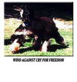 Thumbnail of Wind Against Cry For Freedom