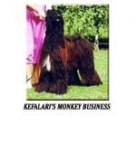 Thumbnail of Kefalari's Monkey Business