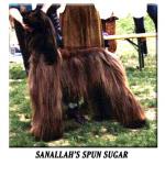 Thumbnail of Sanallahs Spun Sugar
