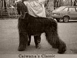 Thumbnail of Caiwana's Classic