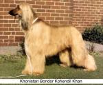 Thumbnail of Khonistan Bondor Kohendil Khan