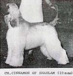 Thumbnail of Cinnamon Sinner Of Shahlam