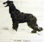 Thumbnail of Dic Mar's Flaming Candle