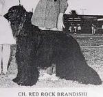Thumbnail of Red Rock Brandishi