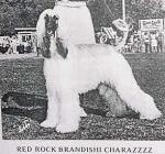 Thumbnail of Red Rock Brandishi Charazzzz