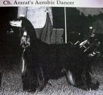 Thumbnail of Ararat's Aerobic Dancer