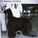 Thumbnail of Jubilan's Anchises