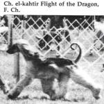 Thumbnail of El Kahtir Flight of The Dragon