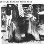 Thumbnail of Sandina Silver Foxe