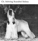 Thumbnail of Sebring Scarabet Solera