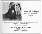 Thumbnail of Zorah Of Lakoya