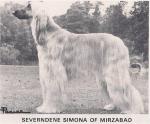 Thumbnail of Severndene Simona Of Mirzabad