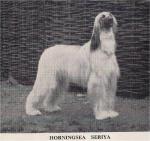 Thumbnail of Horningsea Seriya
