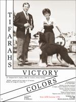 Thumbnail of Tifarah's Victory Colors