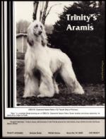 Thumbnail of Trinity's Aramis