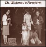 Thumbnail of Wildenau's Firestorm